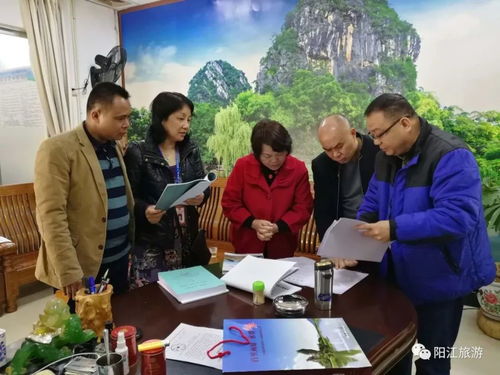 陽江迎春開門紅 歡樂祥和、平安有序、優質服務的旅游新氣象